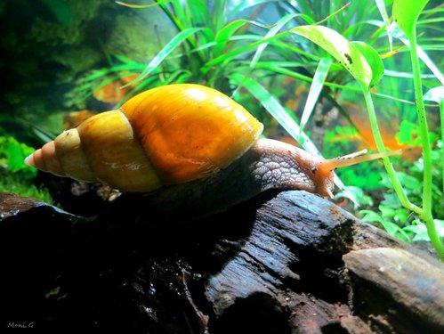 IMG_6176.JPG
