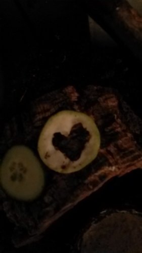 20170831_224817_LLS.jpg