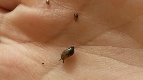 20170903_175225.jpg