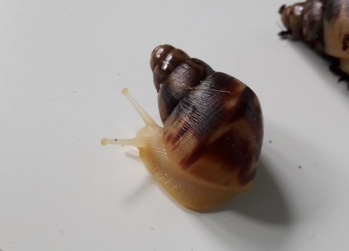 2017-09-05 17.47.23.jpg