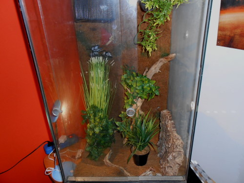 judith muss es fachmännisch machen.jpg