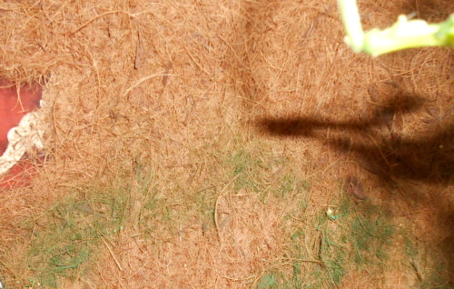 aaa frage für forum rückwand heizung.jpg