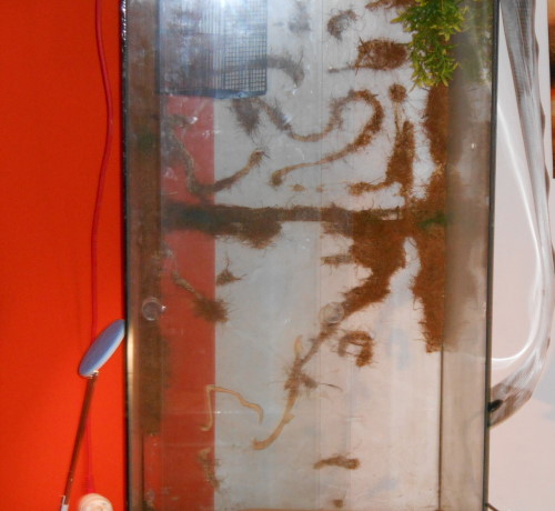 rückwand fast ab.jpg