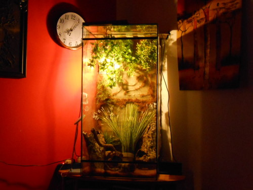 terra schon schön als trockenübung.jpg