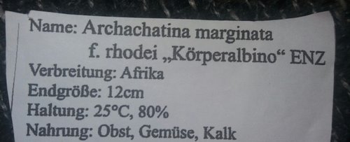 20170914_180245.jpg