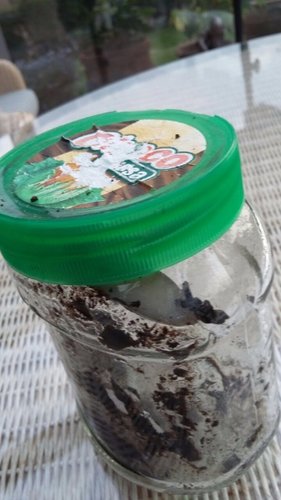 IMG-20170915-WA0001.jpg