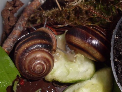 20170922_6162.jpg