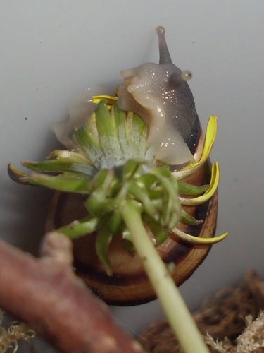 20170922_6172.jpg