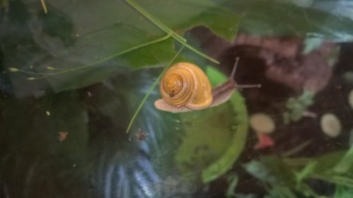WP_20170610_13_24_45_Rich.jpg