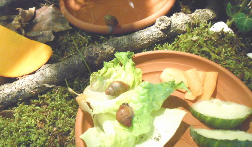 2 zanzi 1 isa ins grosse terra 4.10..jpg