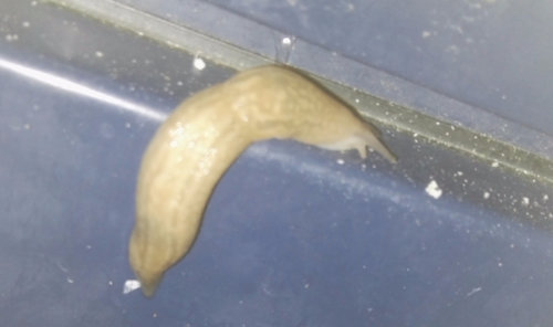 IMG_20171002_212839 - Kopie.jpg