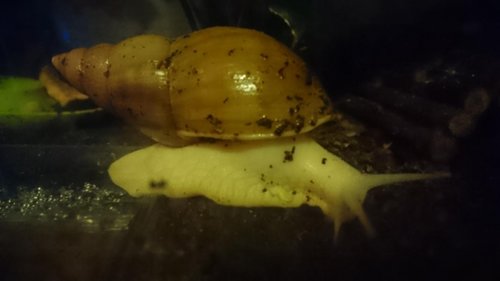 Aus_Wanne_steigen (8).JPG