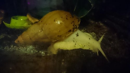 Aus_Wanne_steigen (7).JPG