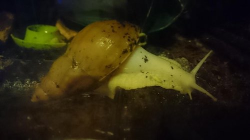 Aus_Wanne_steigen (5).JPG