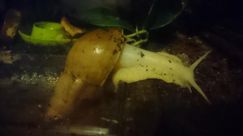 Aus_Wanne_steigen (4).JPG