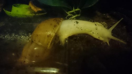 Aus_Wanne_steigen (3).JPG