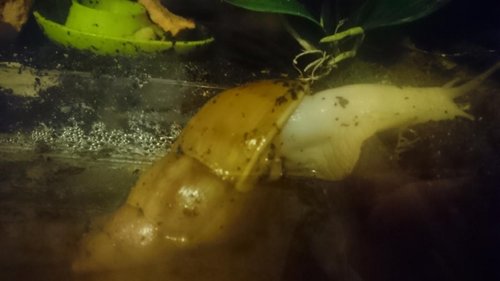 Aus_Wanne_steigen (2).JPG