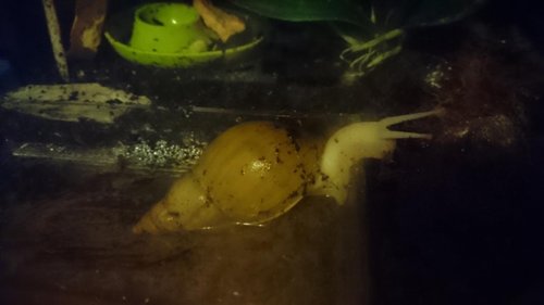 Aus_Wanne_steigen (1).JPG