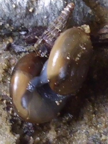 20171106_6984_1.jpg