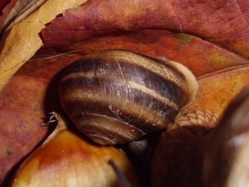 20171003_6378.jpg
