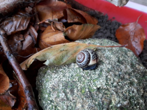 20171115_092811.jpg
