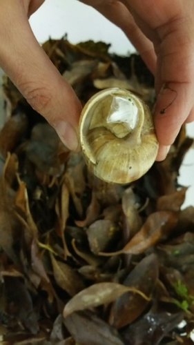 2017-11-27 17.59.26.jpg