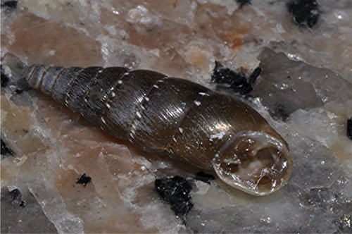 _DSC0065 Ausschnitt, Schärfe.JPG