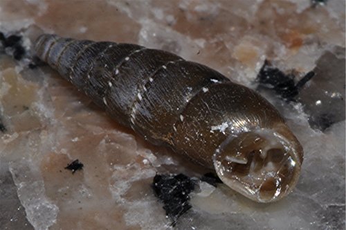 _DSC0066 Ausschnitt, Schärfe.JPG