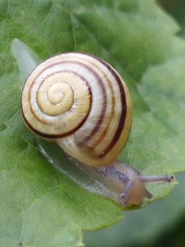 20160619_9585a.jpg