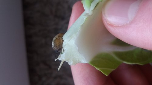 20171213_141434[1].jpg