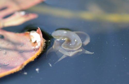 IMG_9773.jpg