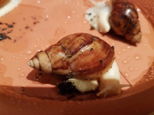 20171228_221246.jpg