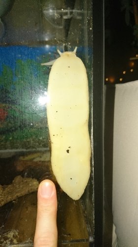 DSC_4754.JPG
