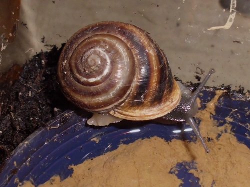 20180104_7197.jpg