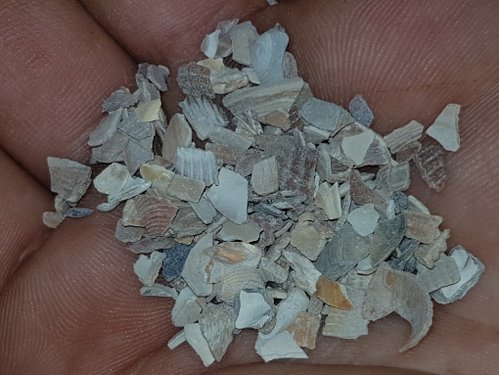 20180120_134655.jpg
