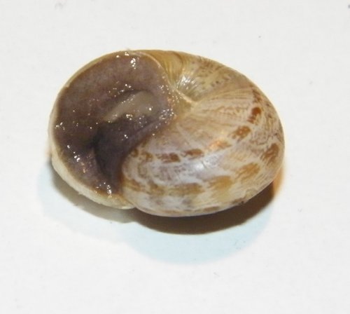 s2.JPG