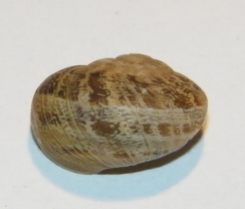 s3.JPG