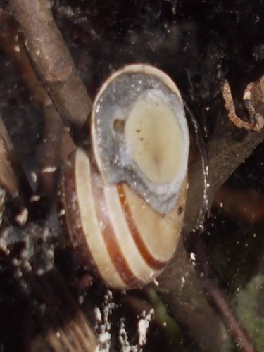 20180130_7353.jpg