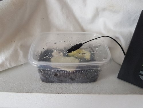 20180211_091741.jpg
