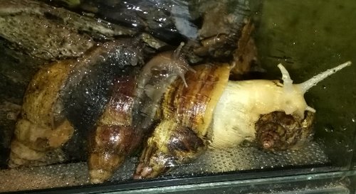 IMG_20180216_103051.jpg