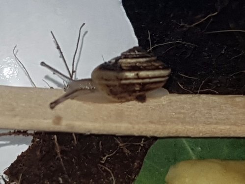 20180216_130035.jpg