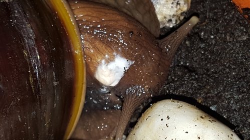 20180219_093428.jpg