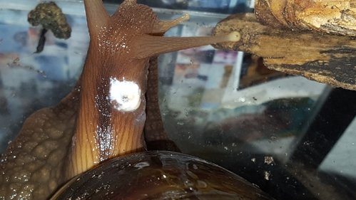 20180219_082030.jpg