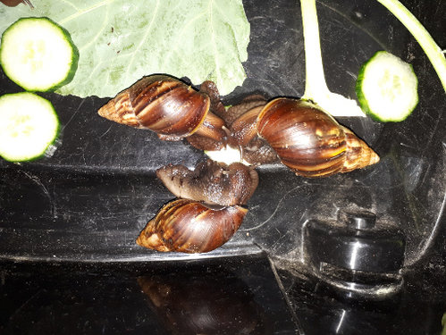 20180302_163110.jpg