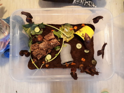 20180302_175837.jpg