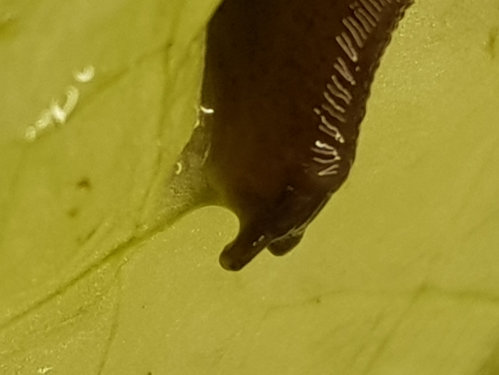 20180313_205743.jpg