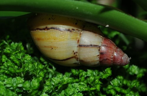 DSC_7866.jpg