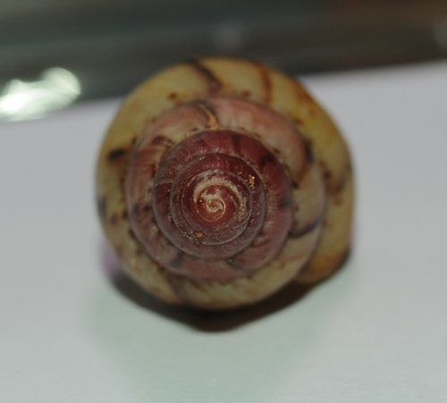 DSC_7873.jpg