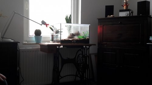 20180328_141615.jpg
