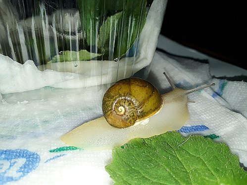 20180328_165007.jpg